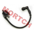 C100 Ignition Coil Assy